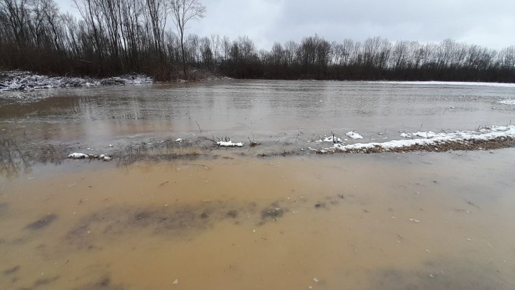 FOTO: InfoBijeljina